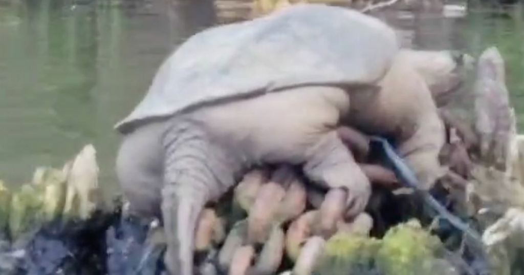 645e58692200001e00757bb9