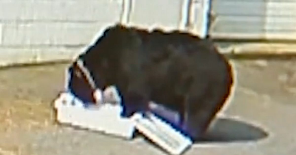 6470f98c2200001f0041470e