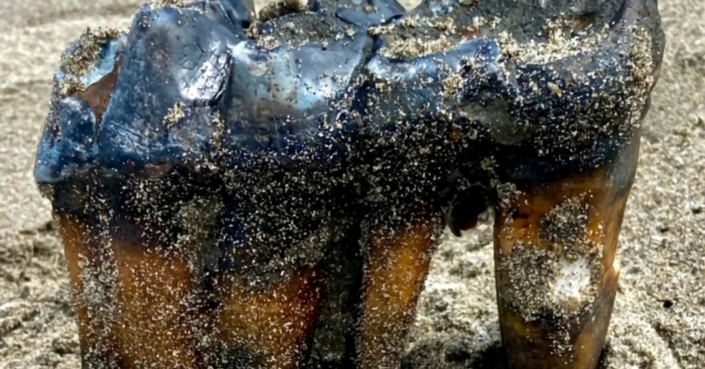 647a063a2000001a00ca6bb0