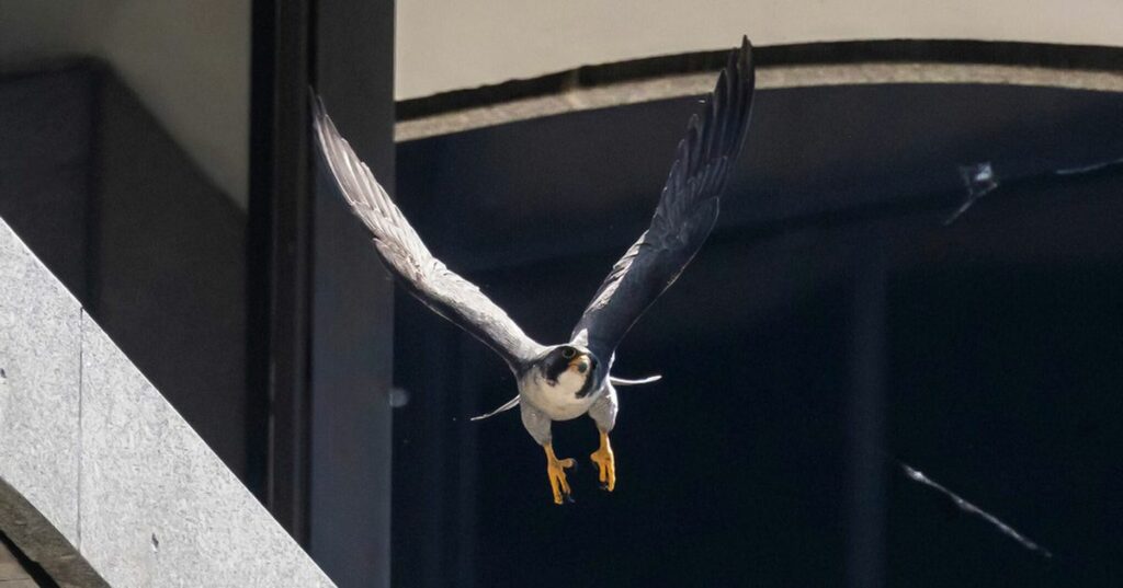 647a3cfd2300006e00eb645c