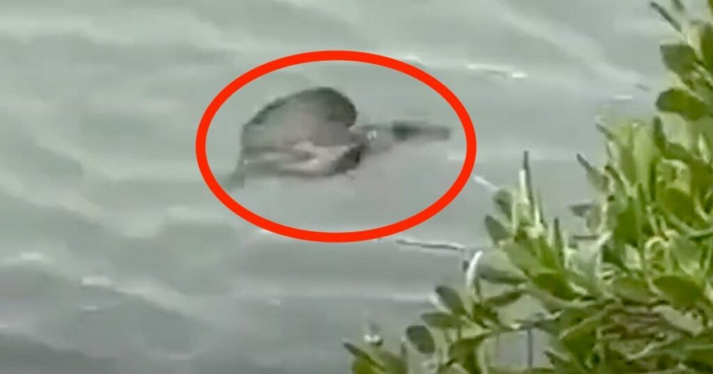 648044ca2700001e00f617a5