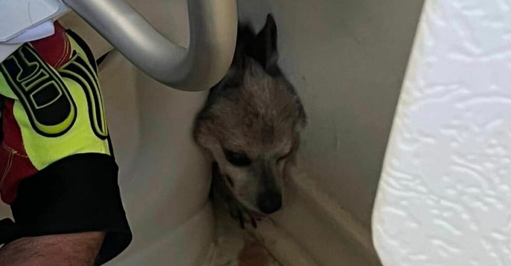 6494b4c62600001b0038cac9