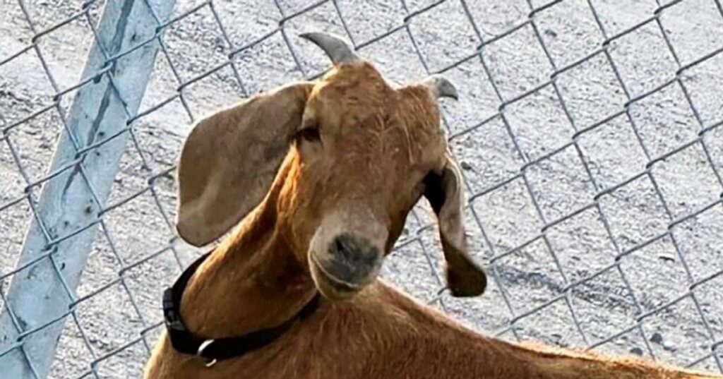 64bdf5ec230000370043211c