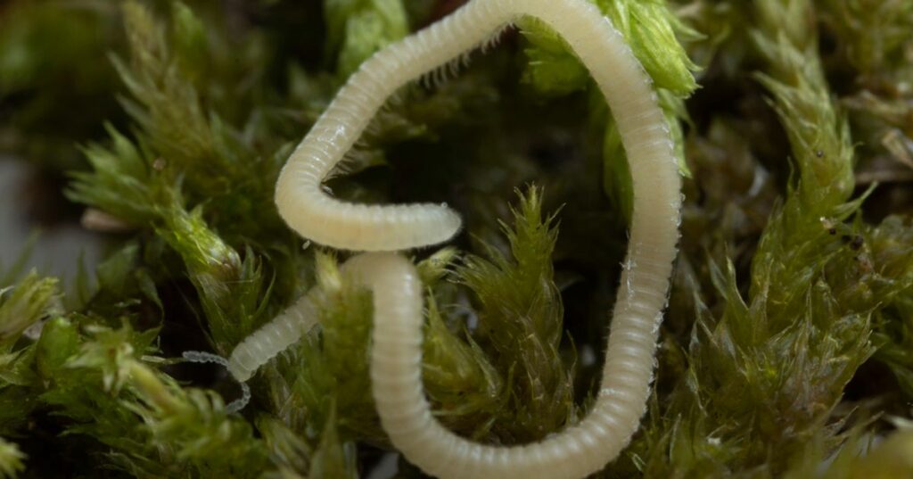 64c1677323000020008e829b