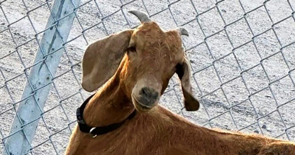 64be01382600001a00fda881