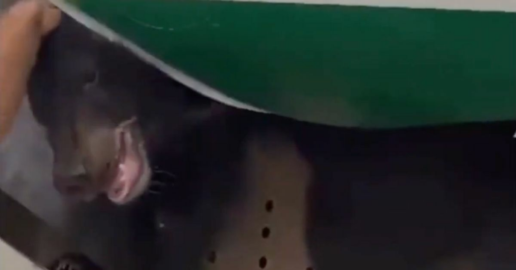 64d10d15230000670019a19d