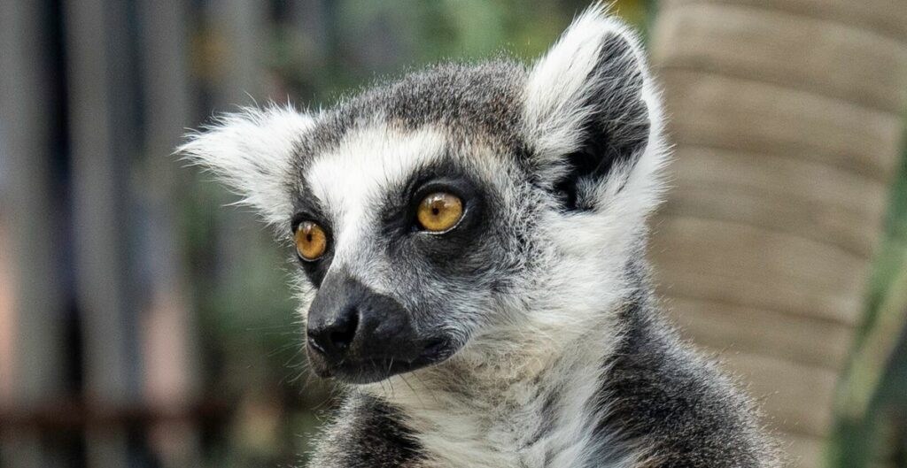 65041ca824000054005b538d