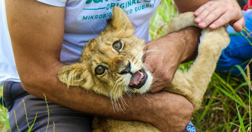 650c66572200001f005f769f