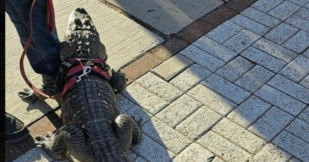 6515b2632200001c00e3d6a5