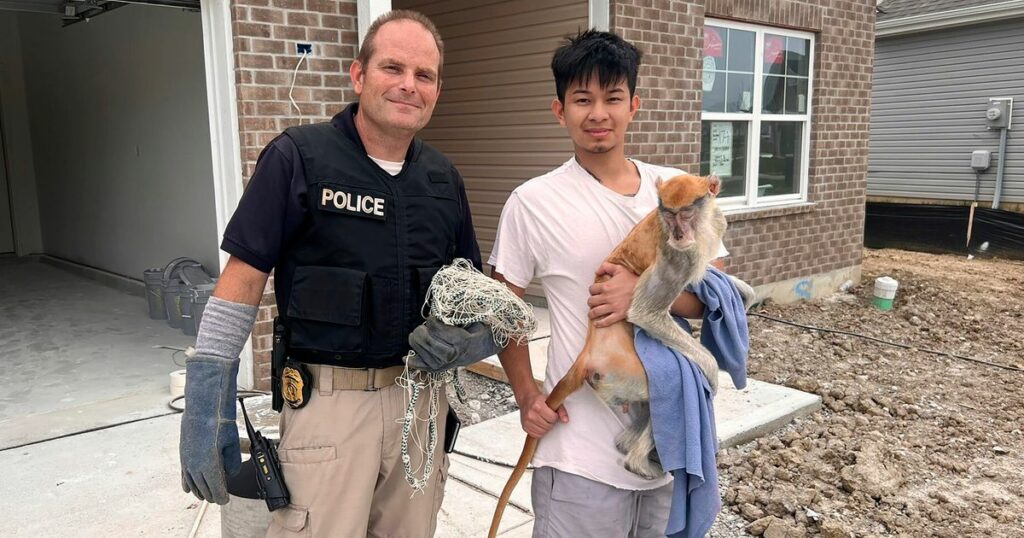 651fe84d2200003300f37e58