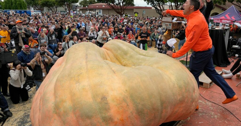 65268ccb230000950054a1a3