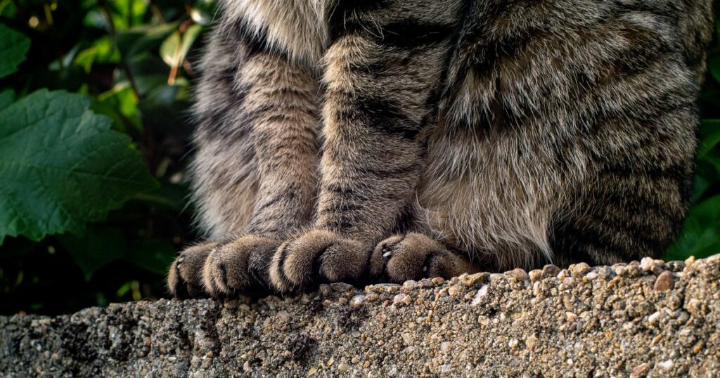 6527bc021f000084001ba778