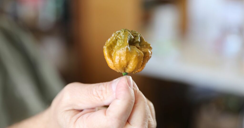 652ea6011f00002c071bab97