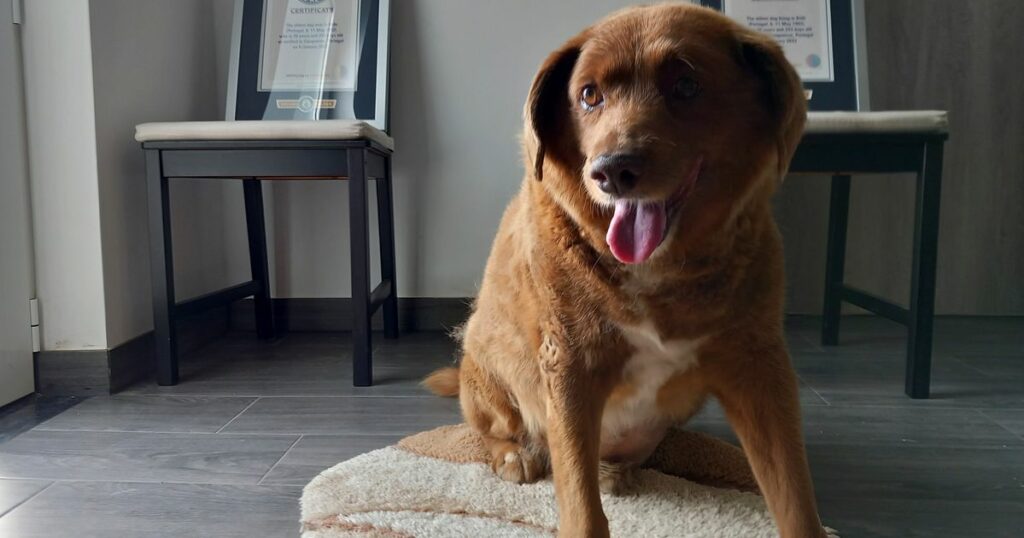 6536c9561e0000b609bff20f