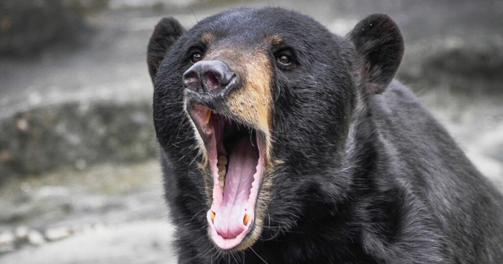 654f5d672200004e17cef59d