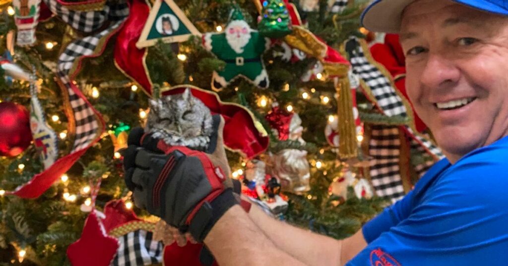 657ca6242200001e00ad3973