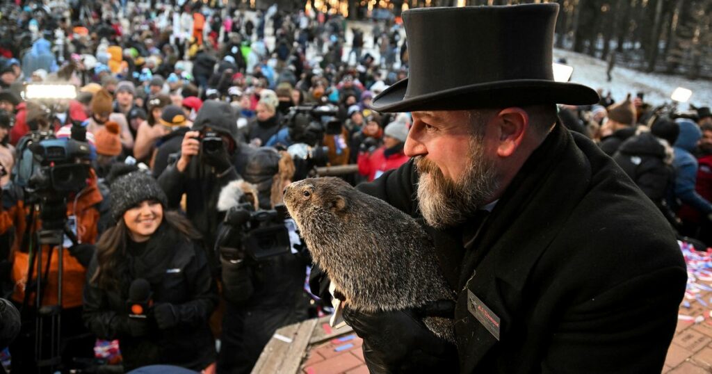 65bbcf772400003b002801d4