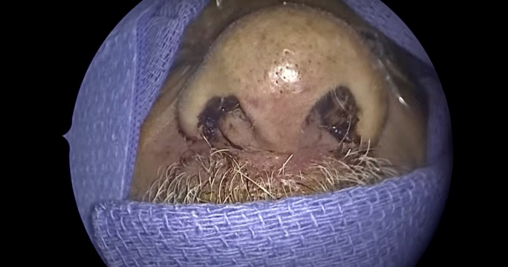 65d5259f2500001c0082170d