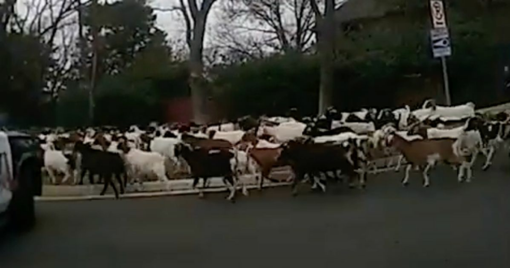 65e193fb2300001b0054fbb7