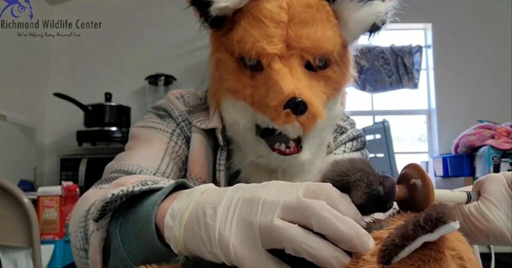 65f1cd9c2300005400656d3c