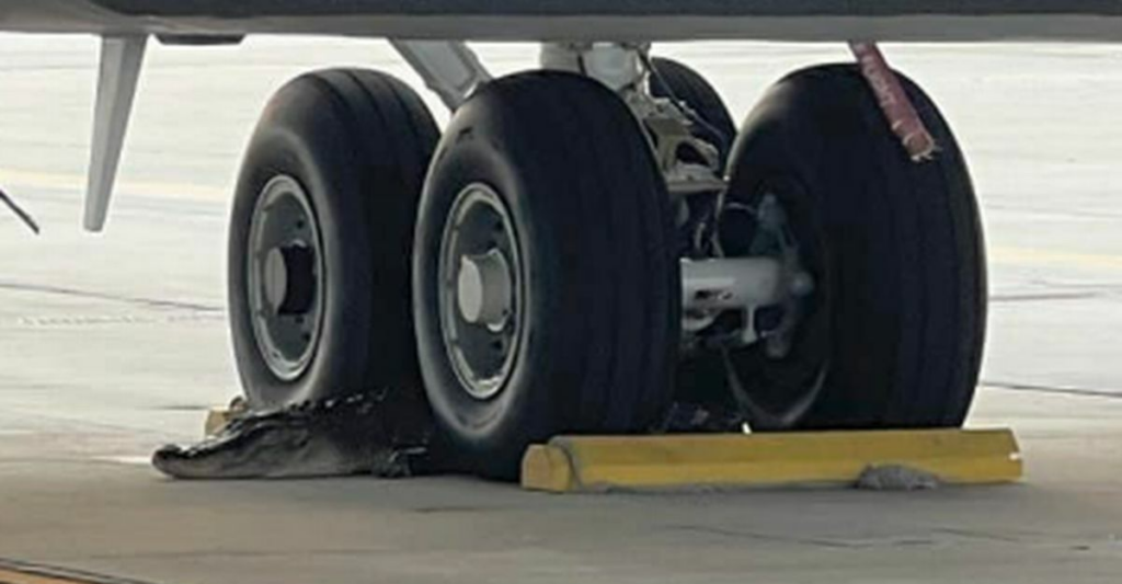 662802242300001b0088eda7