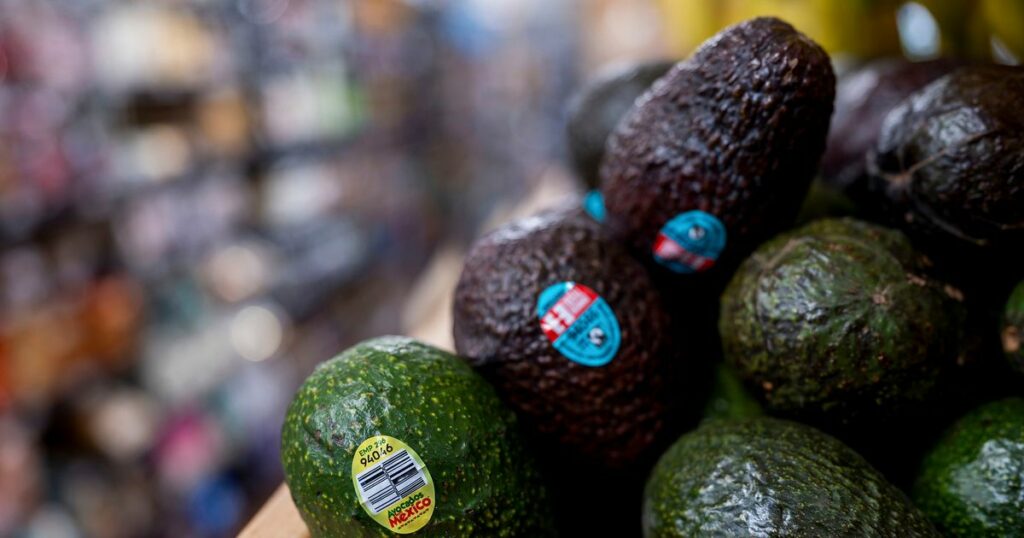 679e8c3d1d000026003b53e1